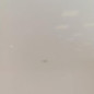 Porte avant gauche FORD FOCUS 3