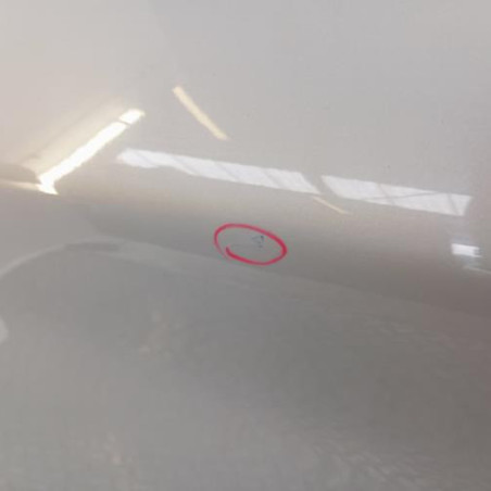 Porte arriere gauche RENAULT ZOE 1