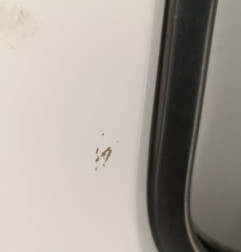 Porte avant droit FIAT DUCATO 2 Photo n°6
