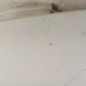 Aile avant gauche FIAT DUCATO 2