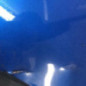 Pare choc arriere SUZUKI SX4 1