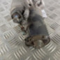 Demarreur CITROEN JUMPER 3