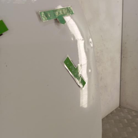 Porte arriere droit RENAULT SCENIC 3
