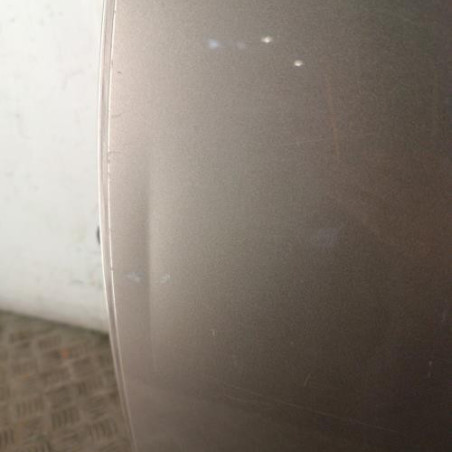 Porte arriere gauche DACIA LOGAN MCV 2