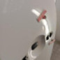 Porte avant gauche RENAULT SCENIC 3