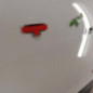 Porte avant gauche RENAULT SCENIC 3