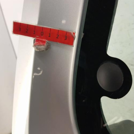 Porte laterale gauche RENAULT KANGOO 2