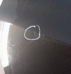 Porte arriere droit OPEL MERIVA B Photo n°7