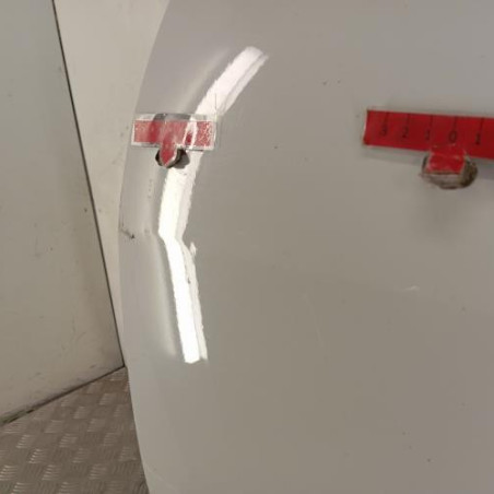 Porte arriere gauche RENAULT SCENIC 3