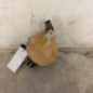 Vase d'expansion PEUGEOT 307