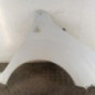 Aile avant droit RENAULT KANGOO 2