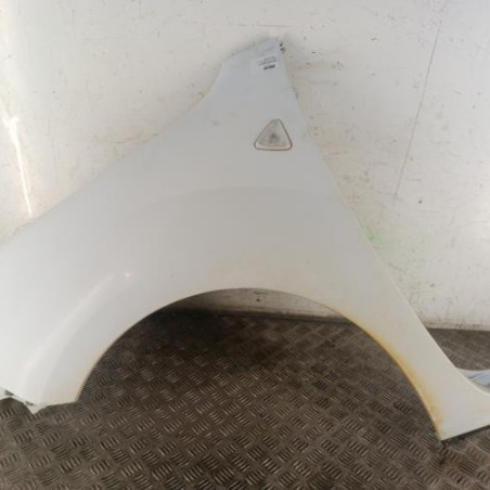 Aile avant gauche RENAULT KANGOO 2 Photo n°1