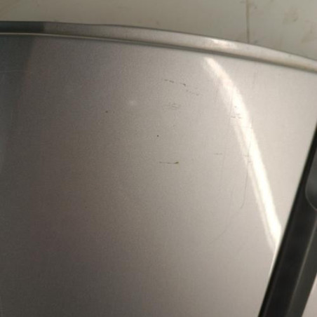 Porte arriere droit RENAULT CLIO 3
