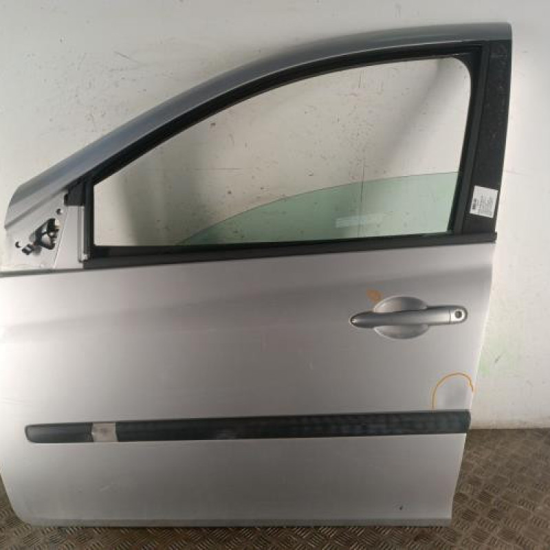 Porte avant gauche RENAULT CLIO 3