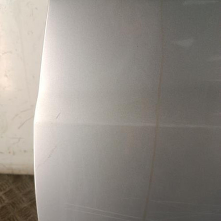 Porte avant gauche RENAULT CLIO 3
