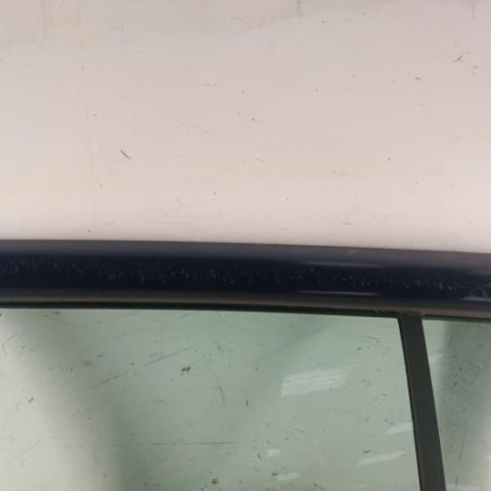 Porte arriere gauche VOLKSWAGEN GOLF 4