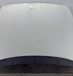 Capot FIAT GRANDE PUNTO Photo n°1