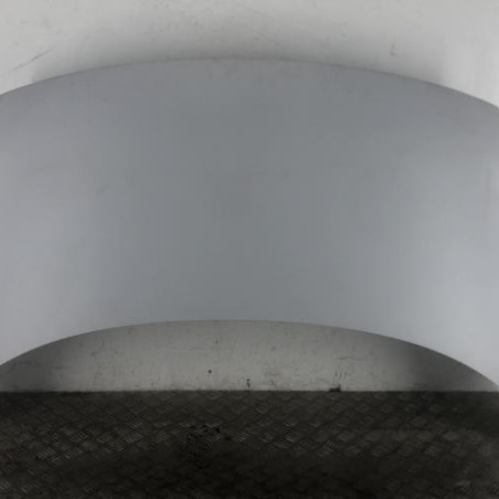 Capot RENAULT SCENIC 3 Photo n°1