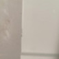 Porte laterale droit FORD TRANSIT 4