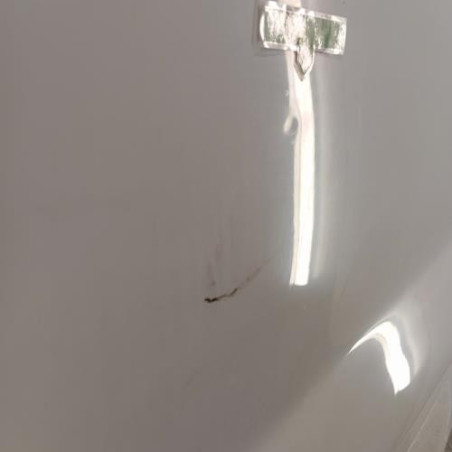 Porte avant droit RENAULT TRAFIC 2