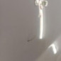 Porte avant droit RENAULT TRAFIC 2