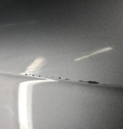 Porte avant gauche AUDI A4 3 Photo n°6