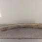 Renfort pare choc avant (traverse) OPEL MERIVA B