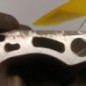 Boite de vitesses RENAULT CLIO 2
