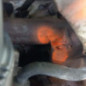 Moteur SUZUKI SWIFT 3