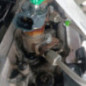 Moteur CITROEN C4 CACTUS