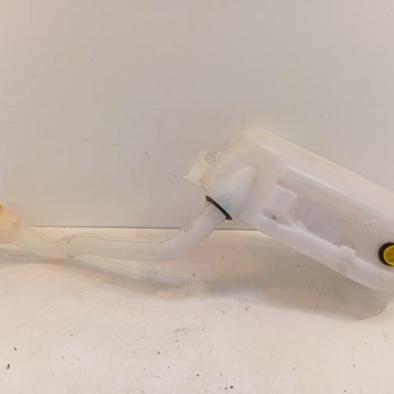 Vase de lave glace RENAULT ZOE 1 Vase de lave glace RENAULT ZOE 1