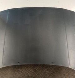 Capot RENAULT R21 Photo n°1