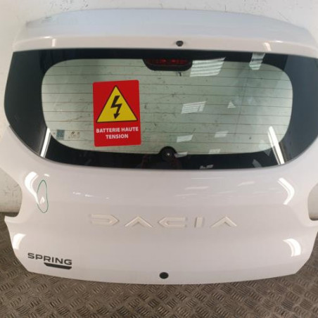 Malle/Hayon arriere DACIA SPRING Photo n°1