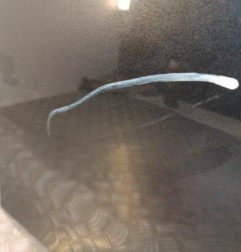 Porte avant droit AUDI A5 1