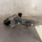 Moteur essuie glace avant DACIA SPRING