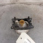 Anti brouillard gauche (feux) CITROEN C3 2