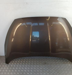 Capot FORD C-MAX 2 Photo n°1