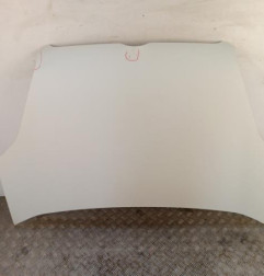 Capot FIAT DOBLO 2 Photo n°1