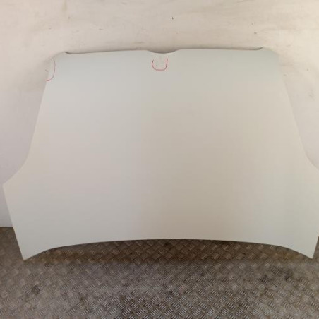 Capot FIAT DOBLO 2 Photo n°1