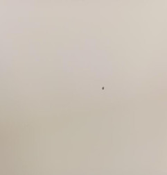 Porte avant droit FIAT DOBLO 2