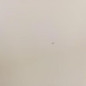 Porte avant droit FIAT DOBLO 2