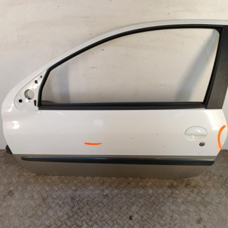 Porte avant gauche PEUGEOT 206+ Photo n°1