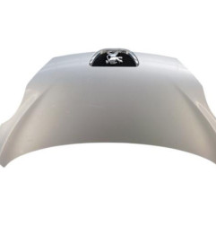 Capot PEUGEOT 107 Photo n°1