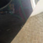 Porte arriere gauche VOLKSWAGEN GOLF 6