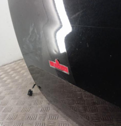 Porte avant gauche DACIA DUSTER 1 Photo n°3