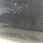 Porte avant droit DACIA DUSTER 1