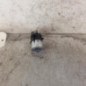 Bouton de demarrage MERCEDES CLASSE E 213