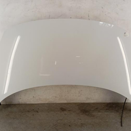 Capot RENAULT SCENIC 3 Photo n°1