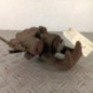 Etrier arriere droit (freinage) CITROEN C4 GRAND SPACETOURER