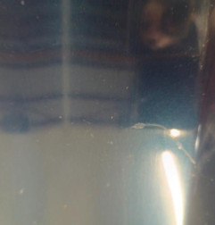 Aile avant gauche RENAULT LAGUNA 2 Photo n°5